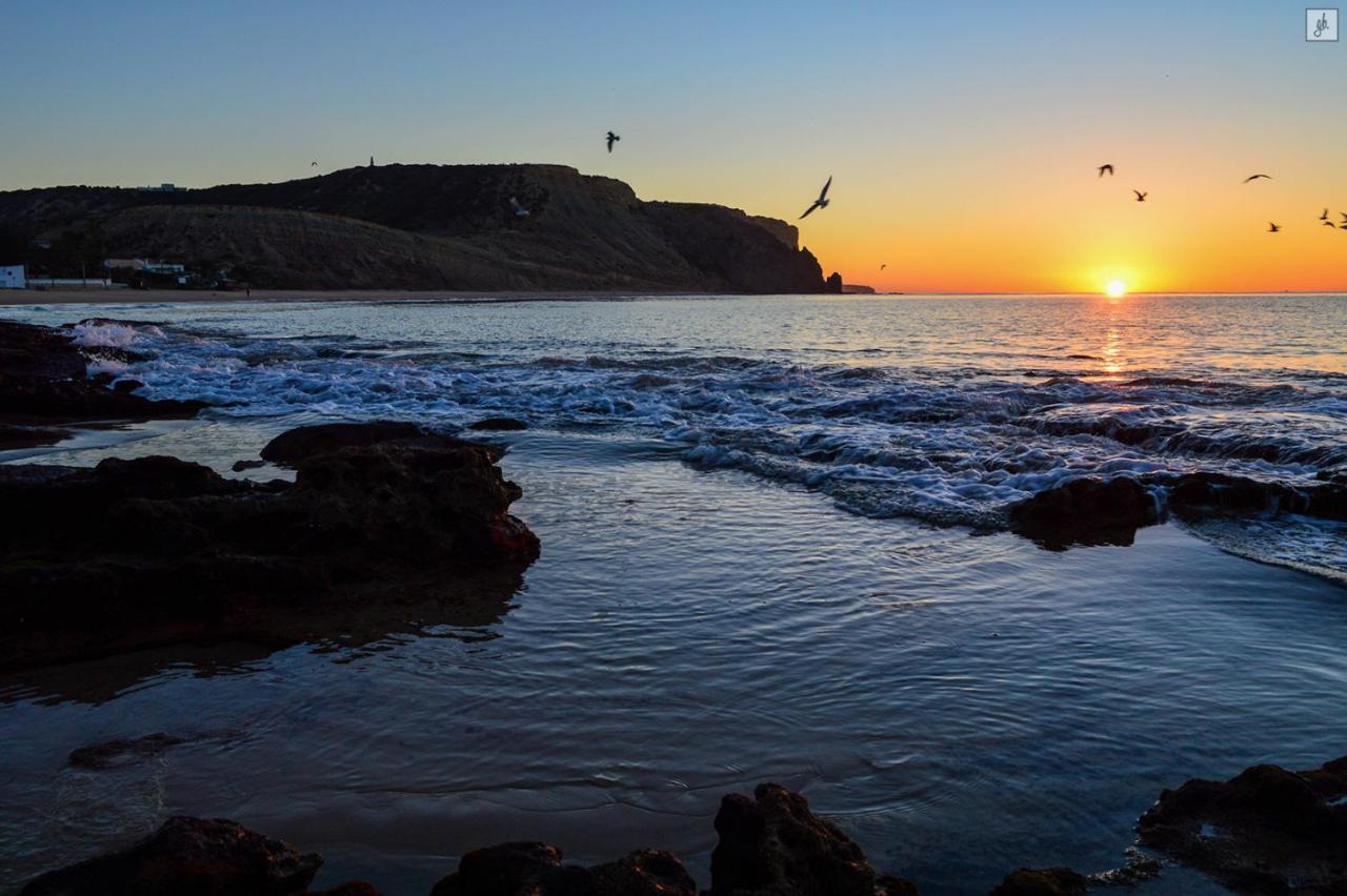 Gaivota Luz